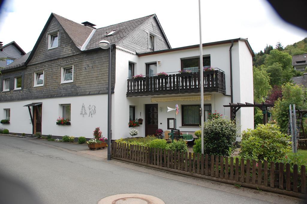 Ferienwohnung Klauke Winterberg Chambre photo